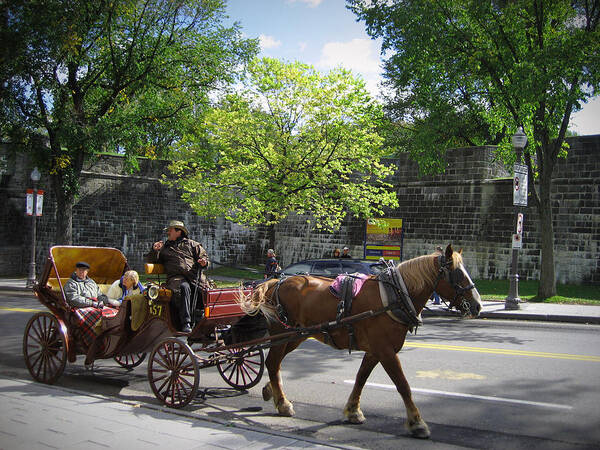 Horse Poster featuring the photograph Horse and Buggy by Nicky Jameson