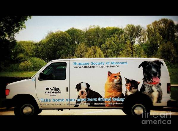  Poster featuring the photograph Humane Society Van by Kelly Awad