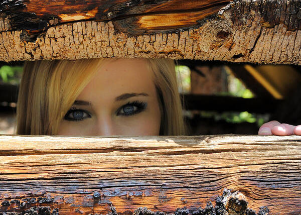 Blue Eyes Poster featuring the photograph I See You by Jessica Tookey