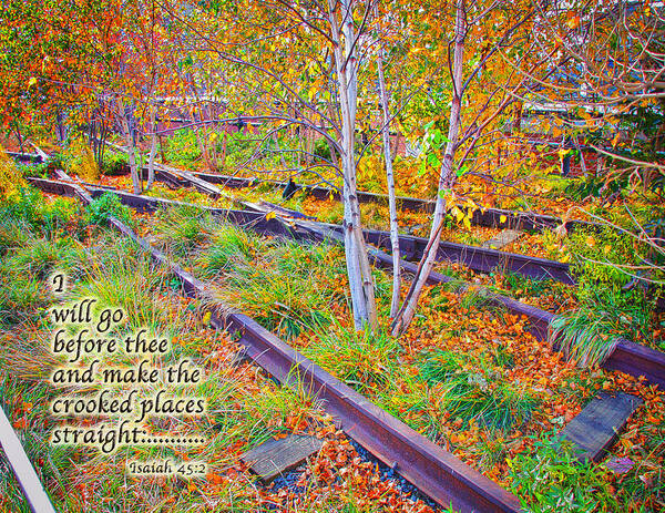 Autumn Foliage Poster featuring the photograph I Will Follow LORD by Terry Wallace