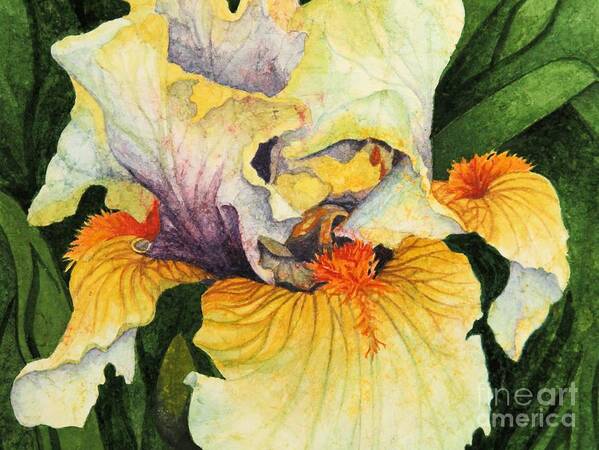 Iris Poster featuring the painting Inner Beauty by Barbara Jewell
