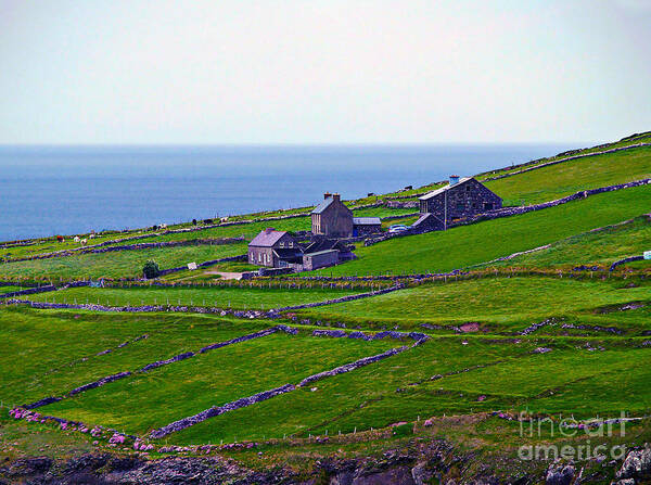 Fine Art Photography Poster featuring the photograph Irish Farm 1 by Patricia Griffin Brett