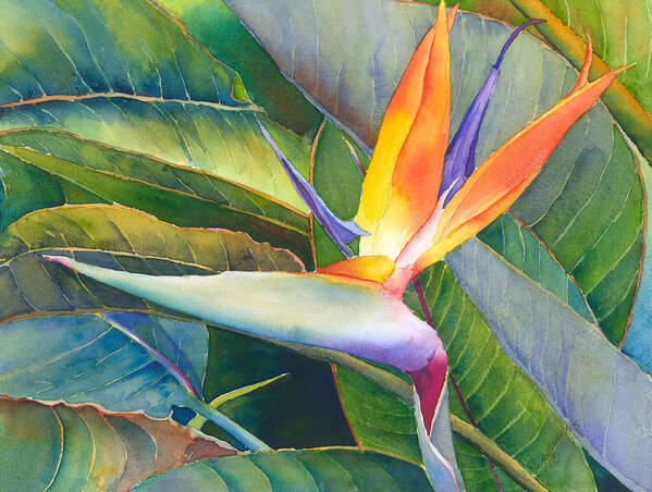 Bird Of Paradise Poster featuring the painting Its a Bird by Judy Mercer