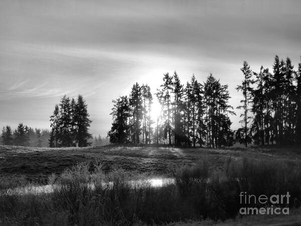 Landscape Poster featuring the photograph January Morning B/W by Rory Siegel