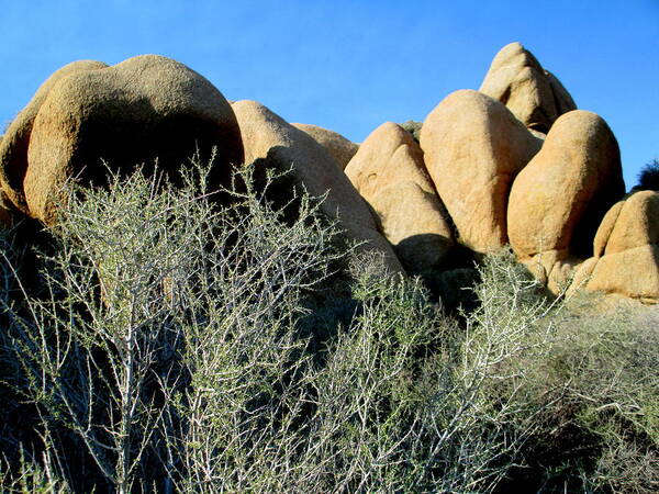 Jumbo Rocks Poster featuring the photograph Jumbo Rocks At Joshua Tree 1 by Randall Weidner