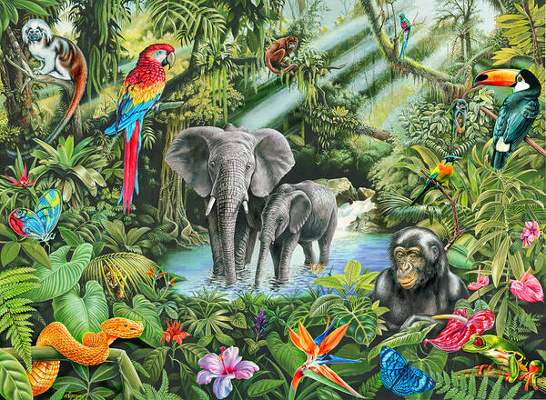 Animal Poster featuring the photograph Jungle by MGL Meiklejohn Graphics Licensing