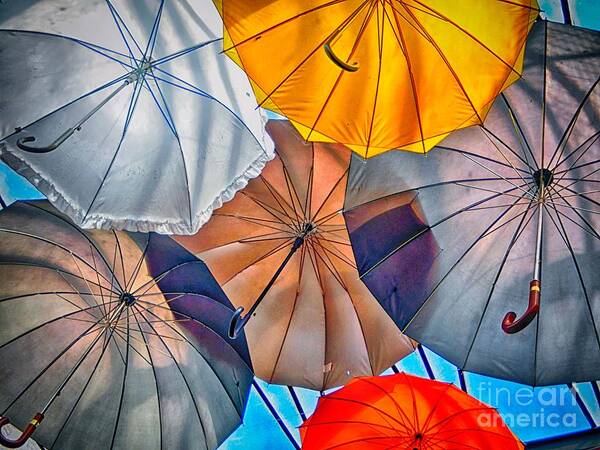 Ambrella Poster featuring the photograph Just Ambrellas by Nicola Fiscarelli