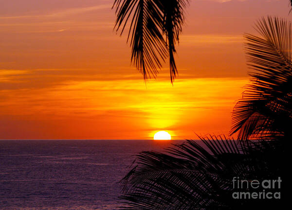 Fine Art Photography Poster featuring the photograph Kauai Sunset by Patricia Griffin Brett