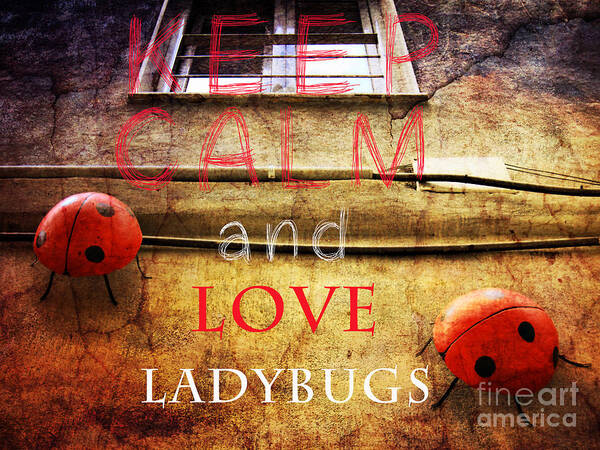 Keep Calm And Love Ladybugs Poster featuring the digital art Keep Calm and love ladybugs by Justyna Jaszke JBJart