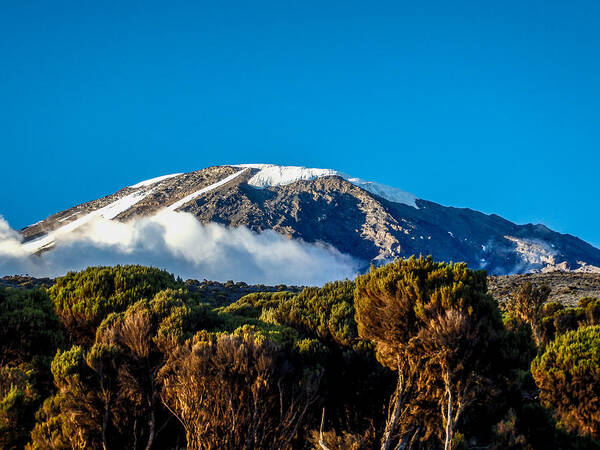 2013 Poster featuring the photograph Kilimanjaro by Jim DeLillo