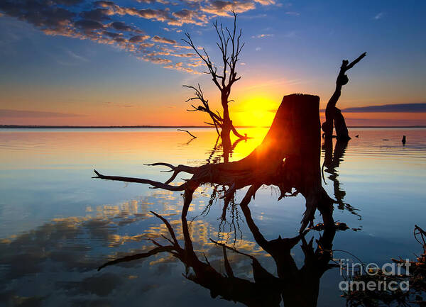 Lake Bonney Sunrise Barmera Riverland South Australia Poster featuring the photograph Lake Bonney Sunrise by Bill Robinson