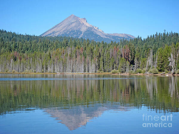 Lake Of The Woods Oregon Poster featuring the photograph Lake Of The Woods Reflections by Debra Thompson