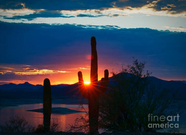 Lake Pleasant Poster featuring the photograph Lake Pleasant Arizona by Richard Mason