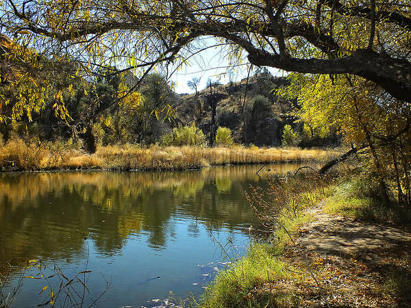 Marsh Poster featuring the photograph Lake View by Lucinda Walter