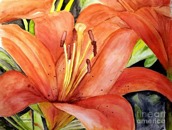 Lilies Poster featuring the painting Large Orange Lily by Carol Grimes