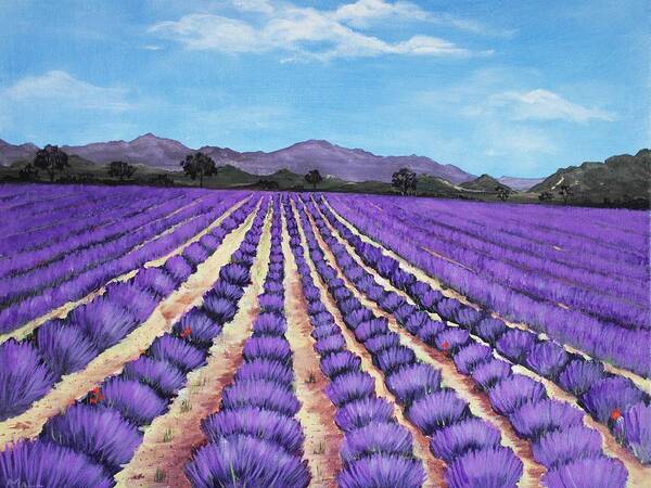Interior Poster featuring the painting Lavender Field in Provence by Anastasiya Malakhova