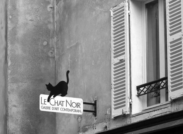 Windows Poster featuring the photograph Le Chat Noir by Nikolyn McDonald