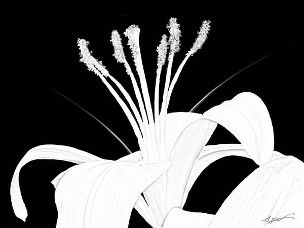Anthony Fishburne Poster featuring the digital art Lilium black and white by Anthony Fishburne
