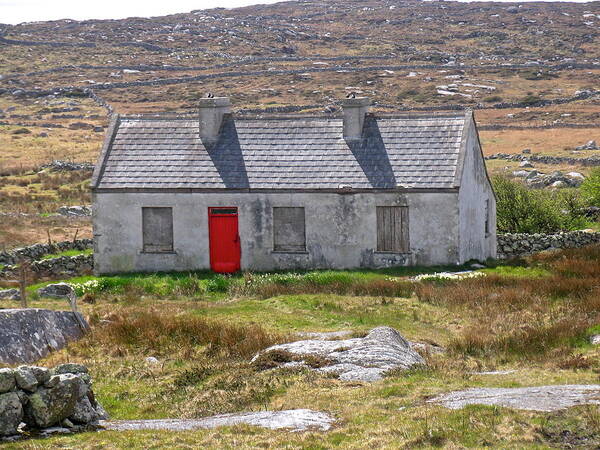 Irish Cottage Poster featuring the photograph Little Red Door by Suzanne Oesterling