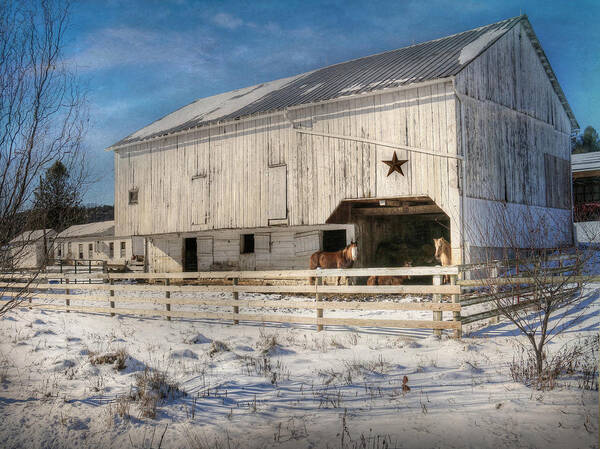 Barn Poster featuring the photograph Liverpool Horse Barn by Lori Deiter