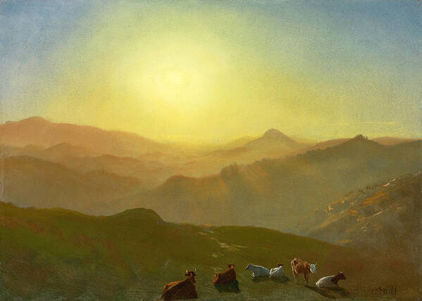  Poster featuring the painting Looking from the Shade on Clay Hill .Sunset Clay Street Hill San Francisco by Albert Bierstadt