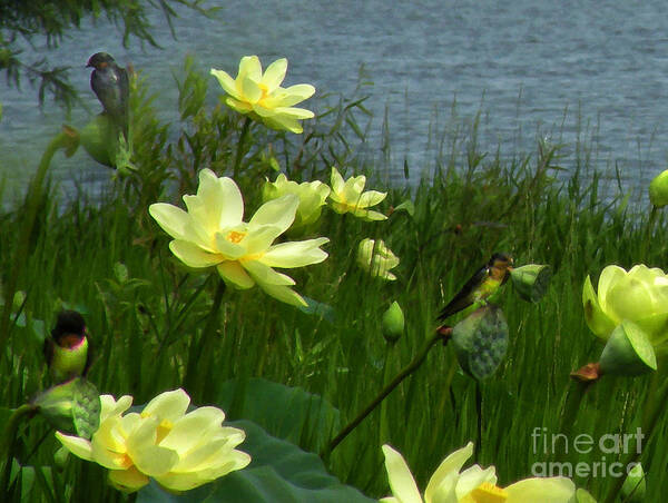 Flowers Poster featuring the photograph Lotus and Swallows by Deborah Smith