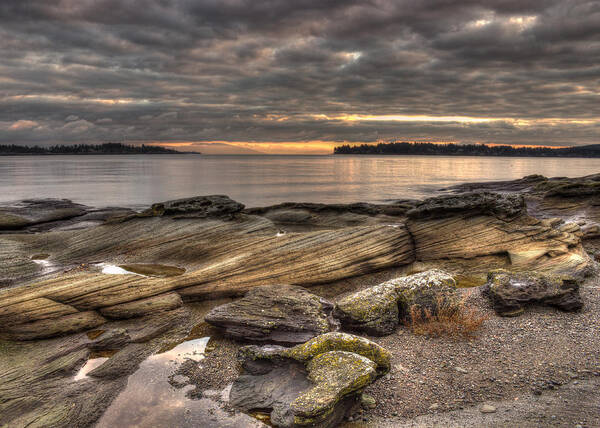 Landscape Poster featuring the photograph Madrona Point by Randy Hall