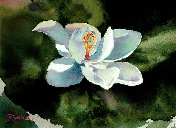 Magnolia Poster featuring the painting Magnolia at Starwood Glen by Jill Westbrook
