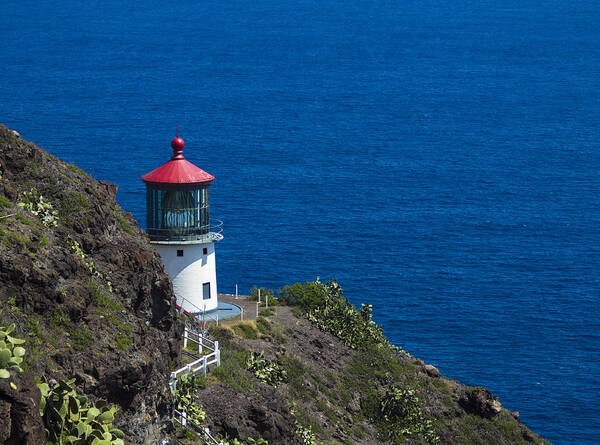 Sea Poster featuring the photograph Makapuu Lighthouse 1 by Leigh Anne Meeks