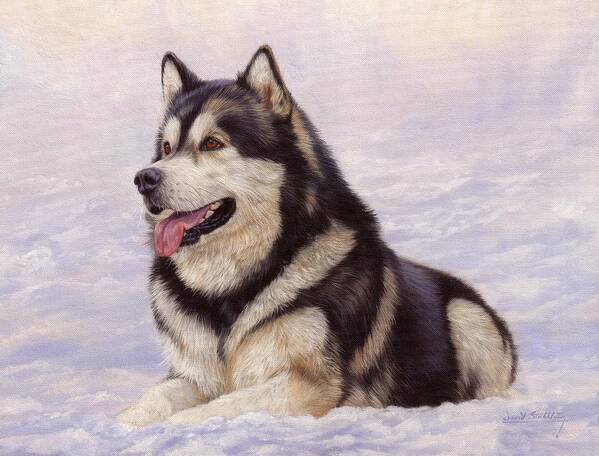 Malamute Poster featuring the painting Malamute by David Stribbling