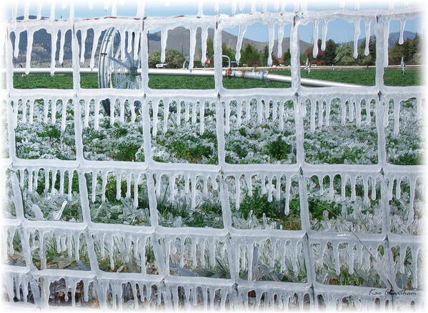 Ice On Fence Poster featuring the photograph May Irrigation #2 by Kae Cheatham