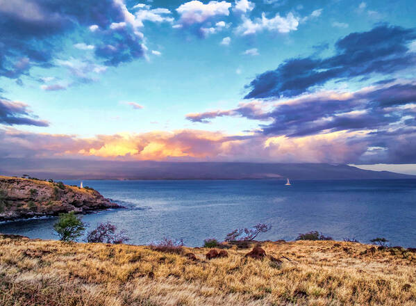 Hawaii Poster featuring the photograph McGregor Point 1 by Dawn Eshelman