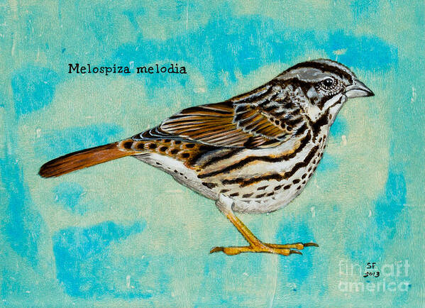  Poster featuring the painting Melospiza melodia by Stefanie Forck