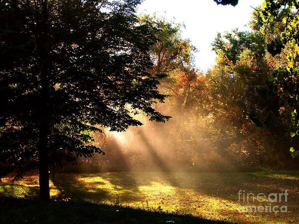 Autumn Poster featuring the photograph Morning Sunshine by Linda Cox