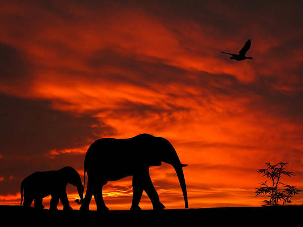 Elephant Poster featuring the photograph Mother and Baby Elephants Sunset Silhouette Series by David Dehner