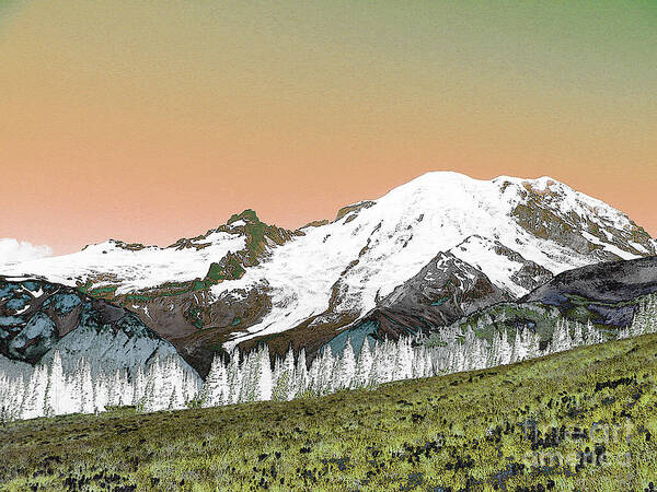 Park Poster featuring the photograph Mount Rainier National Park II by Ann Johndro-Collins