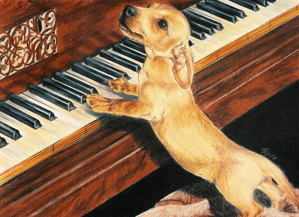 Purebred Dog Poster featuring the drawing Mozart's Apprentice by Barbara Keith