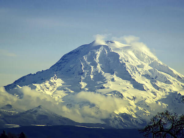 National Park Poster featuring the photograph Mt. Rainier Washington by Ron Roberts