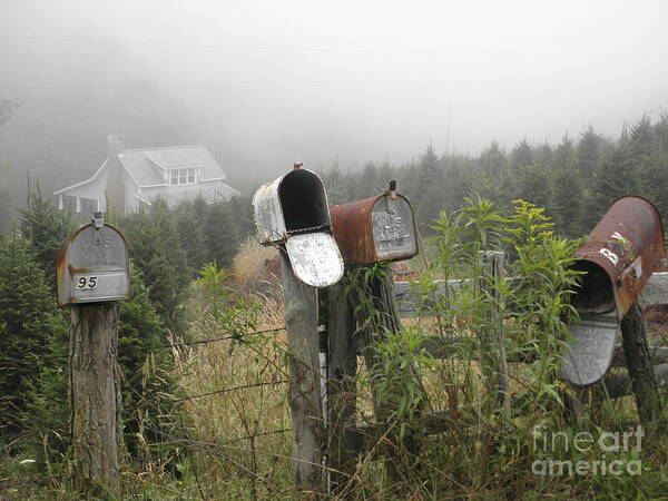 North Carolina Poster featuring the photograph NC Mailboxes by Valerie Reeves