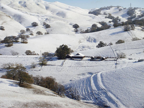 Snow Poster featuring the photograph Never Snows in California by Donna Blackhall