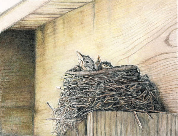 Colored Pencil Poster featuring the painting New Life Under My Deck by Charlotte Yealey