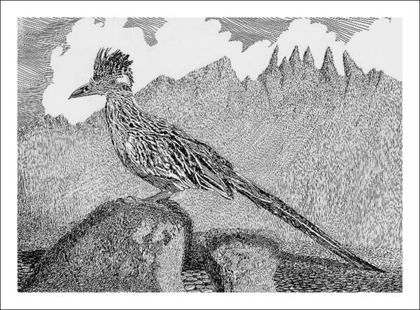 Organ Mountains-desert Peaks National Monument Poster featuring the drawing New Mexico Roadrunner by Jack Pumphrey