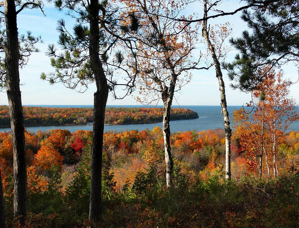Nicolet Bay Poster featuring the photograph Nicolet Bay Fall View by David T Wilkinson