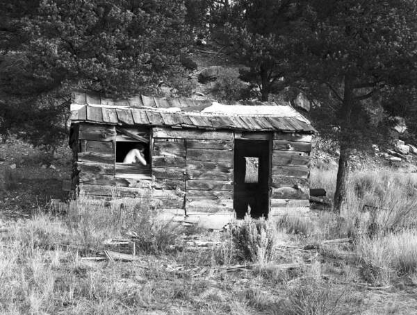 Csphoto Poster featuring the photograph Nude and Cabin by Christian Slanec