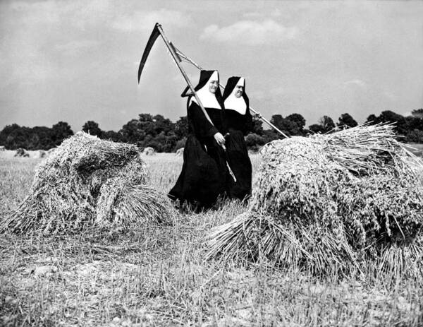 1942 Poster featuring the photograph Nuns Harvest Oats In Fields by Underwood Archives