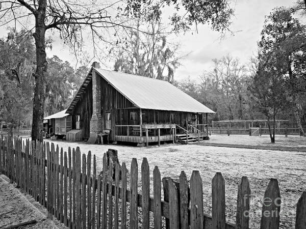 Chesser Homestead Poster featuring the photograph Okefenokee Home by Southern Photo