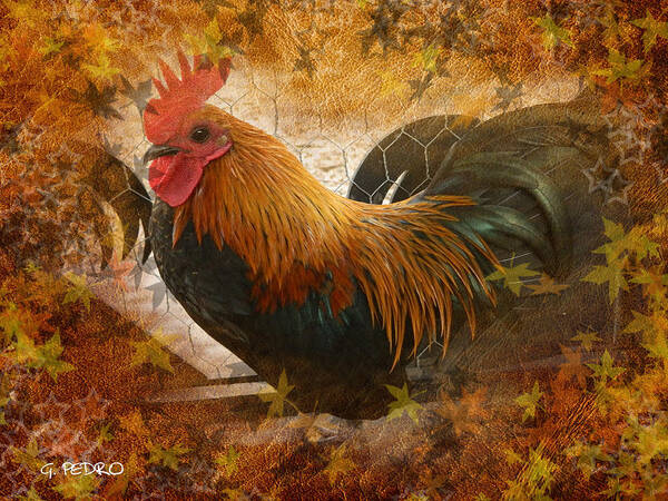  Poster featuring the photograph Old English Game Bantam in Autumn Colors by George Pedro