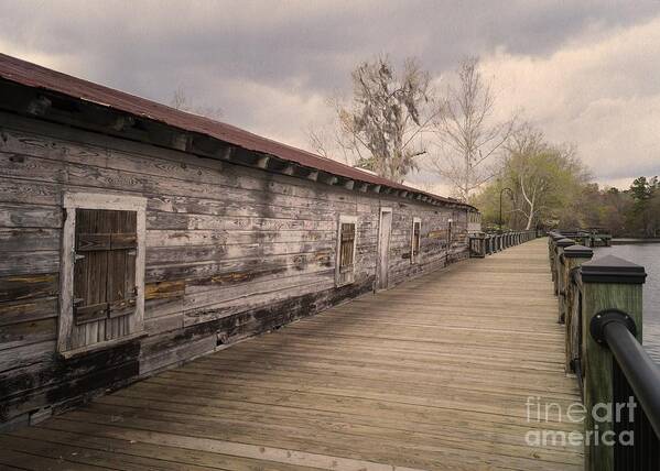 Waccamaw River Poster featuring the photograph Old Terminal on the Waccamaw - Tea Dyed by MM Anderson