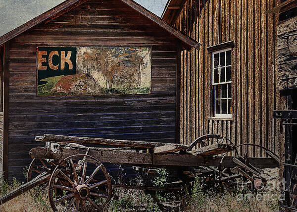 Old Poster featuring the photograph Old West by Janice Pariza