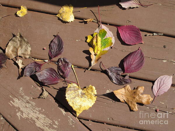 Leaves Poster featuring the photograph On the Deck by Kathie Chicoine